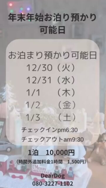 .年末年始についてお知らせ

年末年始はお泊まり預かり日を予定しています。
お困りごとなどこまざいましたらお気軽にご連絡ください。

. 🐾
DearDog
唐津市呼子町小規模わんちゃん施設🏡

DearDogは
【訪問介護】【デイサービス】【託児所】3つのサービスの中から飼い主様とわんちゃんの生活スタイルに適したものをご提供致します。

①【訪問介護】・・飼い主様の用事やお仕事で数時間家を空けなくてはいけない場合、自力でお水が飲めない、ご飯を食べる事が出来ない、排泄も困難として介護が必要な場合。こちらのサービスのメリットはわんちゃんはいつも通り自宅にいながら介護を受けることができ安心して過ごすことができます。

②【デイサービス】・・①と同じ理由で介護が必要な場合。わんちゃんを施設にて数時間お預かりしお世話をさせていただきます。こちらのサービスのメリットは、お天気がいい日は外に出てドッグランやウッドデッキ（屋根付）で自由にのんびり過ごすことができます。
他のわんちゃんたちとの触れ合いも出来たり草花など自然の空気に触れながら脳の活性化にも繋がることです。

③【託児所】・・①.②は介護が必要なわんちゃん向けサービスですが、こちらのサービスは子犬（6ヶ月〜）、成犬、老犬（介護の必要は無し）のわんちゃんを数時間お預かりできるサービスです。こちらのサービスのメリットはデイサービスと同じくお天気がいい日は外に出てドッグランやウッドデッキ（屋根付）で自由にのんびり過ごすことができます。

施設が小規模の為、小型犬、中型犬のお預かりに限らせて頂きます。（DearDog基準をご覧下さい）お預かりできる頭数は1日最大5頭までとなります。（保健所の規定に沿って行う為。）
※DearDogはトリミング、医療行為は一切行いません。

【営業日】🏡
🟨土・日・祝日
🟨9:00〜17:00
※年末年始営業予定

ご確認方法はお電話でお問い合わせ下さい。

☎️080-3227-1102
公式LINE→ @701sifja

完全予約制となります✉️
以上よろしくお願い致します🙂
　　　　DearDog 寺山

#老犬介護施設
#老犬介護施設deardog 
#老犬訪問介護deardog
#deardog 
#老犬デイサービス
#犬の託児所　#犬の一時預かり
#唐津市呼子町　#呼子
#呼子観光　#犬の預かり 
#佐賀県　#唐津市　#からつ
#唐津犬介護　#犬の介護
#犬の認知症　#介護うつ
#犬のいる暮らし  #犬と暮らす
#わんちゃん　#ドッグラン
#ウッドデッキ