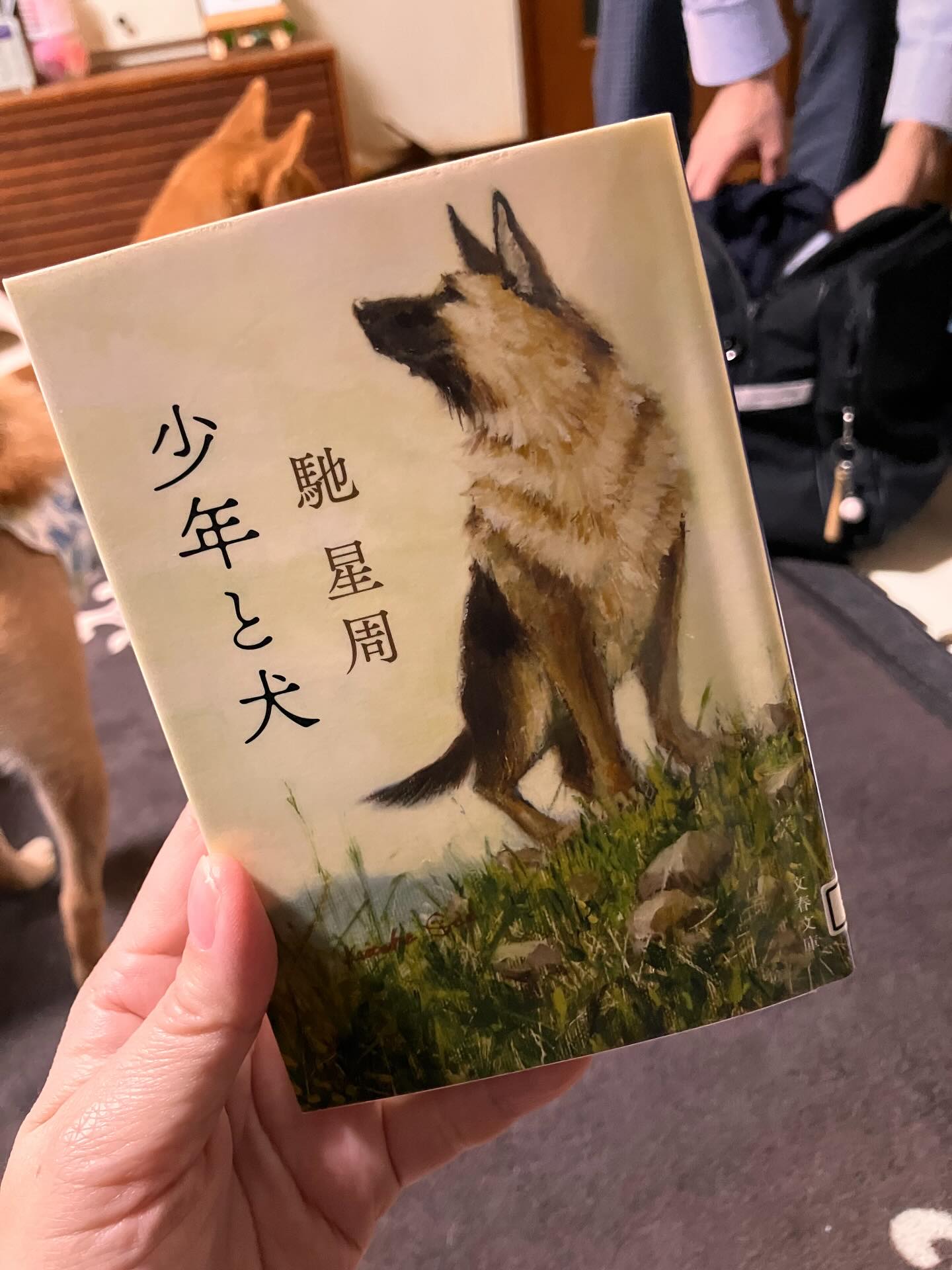 .学校から帰った息子に読んで🤲と渡された本📖

#少年と犬
#馳星周
#ジャーマンシェパード