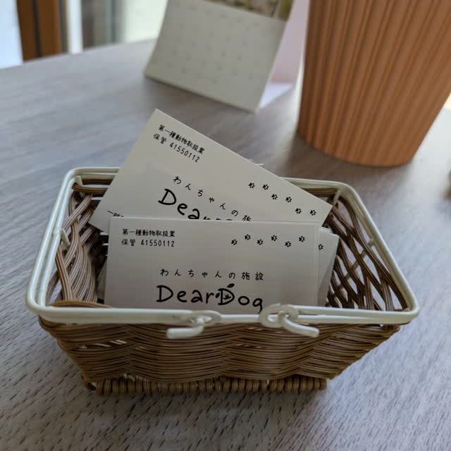 .🤲🍀
ミニミニ名刺

使っていた名刺が残り少なくなり新しく作って貰いました。

作成:  @bon.crea 

ホームページ作成でお世話になったbon.creaさんに
名刺も作って貰いました😊
シンプルでコンパクトですがDearDogの全てがこの小さい名刺にぎゅっとまとめてあります。📝

『強調しすぎない。必要な分だけ』
2026年のDearDogはこれかな〜👀

今後ともよろしくお願いいたします🙇

#ボンクリ
#唐津名刺作成
#ボンクリロゴイラストについて

#deardog
#犬の一時預かり