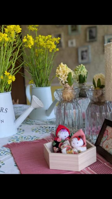 .庭の草花たち🤲

お忙しい飼い主様に代わって
わんちゃんのお世話サポート致します。
お困りごとなど気軽にご相談ください。

ホームページは
トップ画面からご確認頂けます。

https://deardog.geee.info/

⭐️今月のドッグマッサージ⭐️

DearDogでの
一時預かりやお泊まりご利用の際は施設利用規約兼同意書のサインが必要となります。規約兼同意書は郵送もしくはデーターをお送り致します。
お預かり当日にご持参頂くかたちになります。

🕰️9:00〜17:00

ご予約方法
🟡✉️インスタDMへメッセージ

🟡公式LINE→@701sifja

🟡☎️080-3227-1102

場所:佐賀県唐津市呼子町呼子
（詳しい住所は追ってお知らせいたします。）

#呼子わんちゃんの施設
#老犬介護施設deardog 
#老犬訪問介護deardog
#deardog 
#唐津ペットタクシー
犬の託児所　犬の一時預かり
唐津市呼子町　呼子
呼子のイカ
呼子観光　犬の預かり 
佐賀県　唐津市　からつ
唐津犬介護　犬の介護
犬の認知症　介護うつ
犬のいる暮らし  犬と暮らす
わんちゃん　ドッグラン