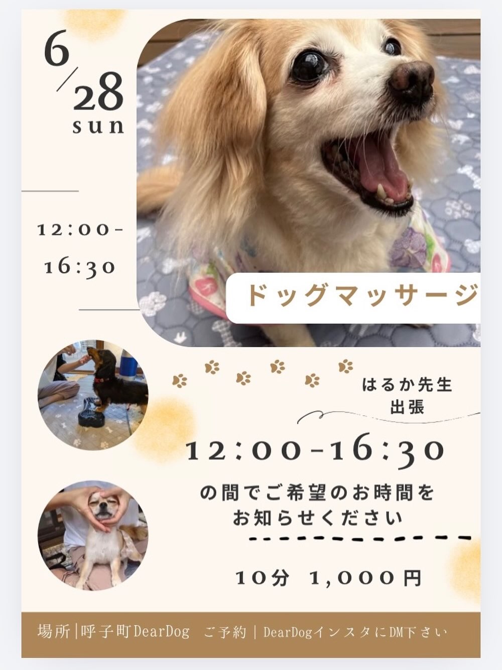 月1💁‍♀️はるか先生のドッグマッサージ体験会
　　☔︎🐌🌈
健康促進を促す
ドッグマッサージを始めてみませんか?🙂

血行促進
リラクゼーション効果
免疫力アップ
筋力維持

定期的に出張しておりますので 宜しくお願いいたします。
　⇩⇩
ドッグマッサージ Grace 🌻.*.⋆ 

@grace_dogram888

施設の紹介

Dear Dog

老犬介護施設(デイサービス型)

・訪問介護・デイサービス・託児所

・子犬(6ヶ月~) 成犬の一時預かり可能

【完全予約制】

・営業日:土日祝日

【対象】

・小型犬、中型犬　（マッサージは大型犬も可能です）

【場所】

・佐賀県唐津市呼子町呼子

【お問い合わせ】

Instagram ⇩⇩
@deardog_955
📞電話⇩⇩
080-3227-1102

犬の託児所
犬の一時預かり
呼子
犬の預かり
唐津市
ドッグマッサージ
ドッグマッサージGrace